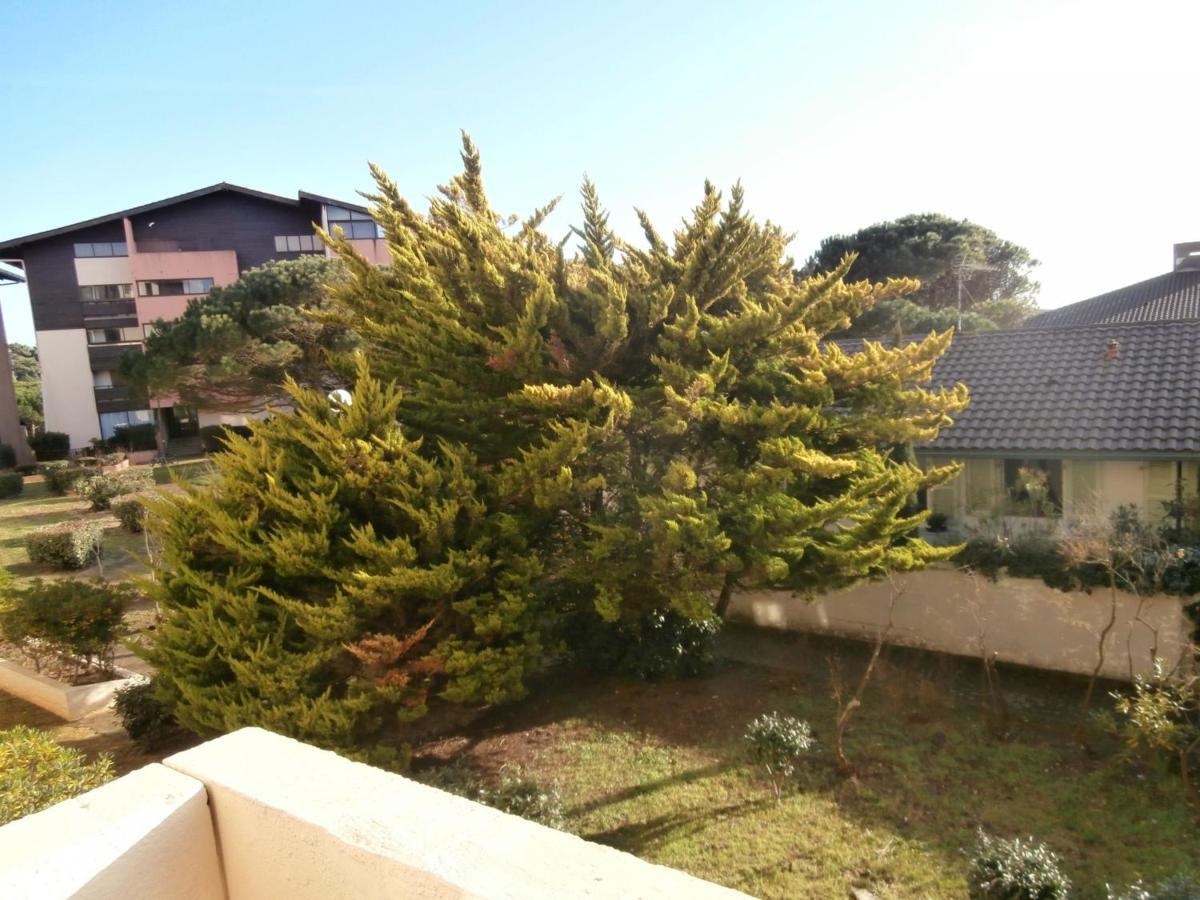 Appartement Renove Avec Balcon, Proche Plage Et Marche - 4 Pers, Calme & Confort A Seignosse - Fr-1-239-460 Bagian luar foto